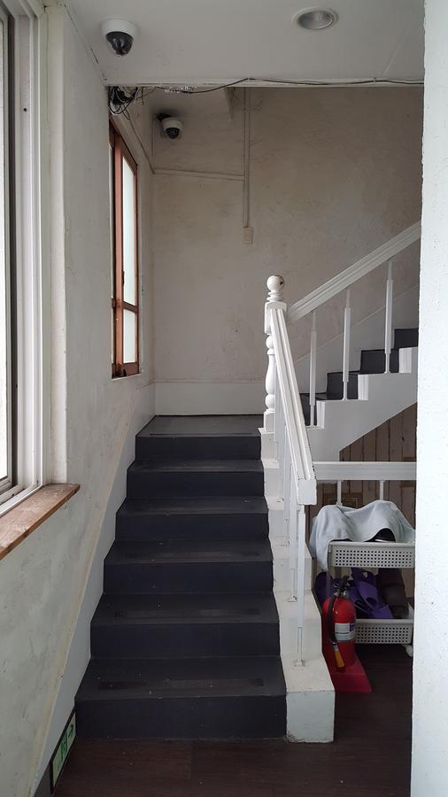 Lemon Tree Guesthouse Seogwipo Exterior foto